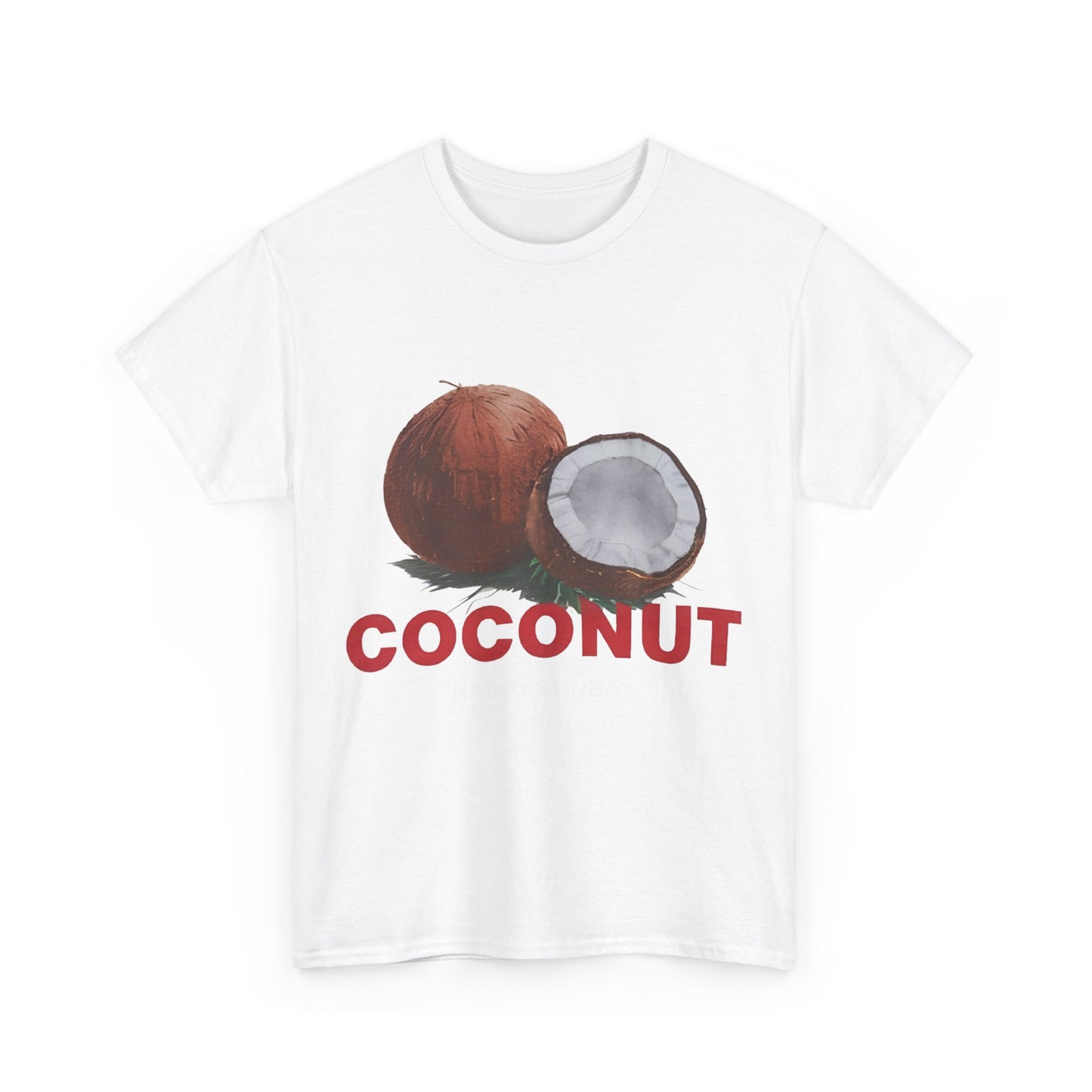 Coconut fruit unisex t shirt fashion oversize form